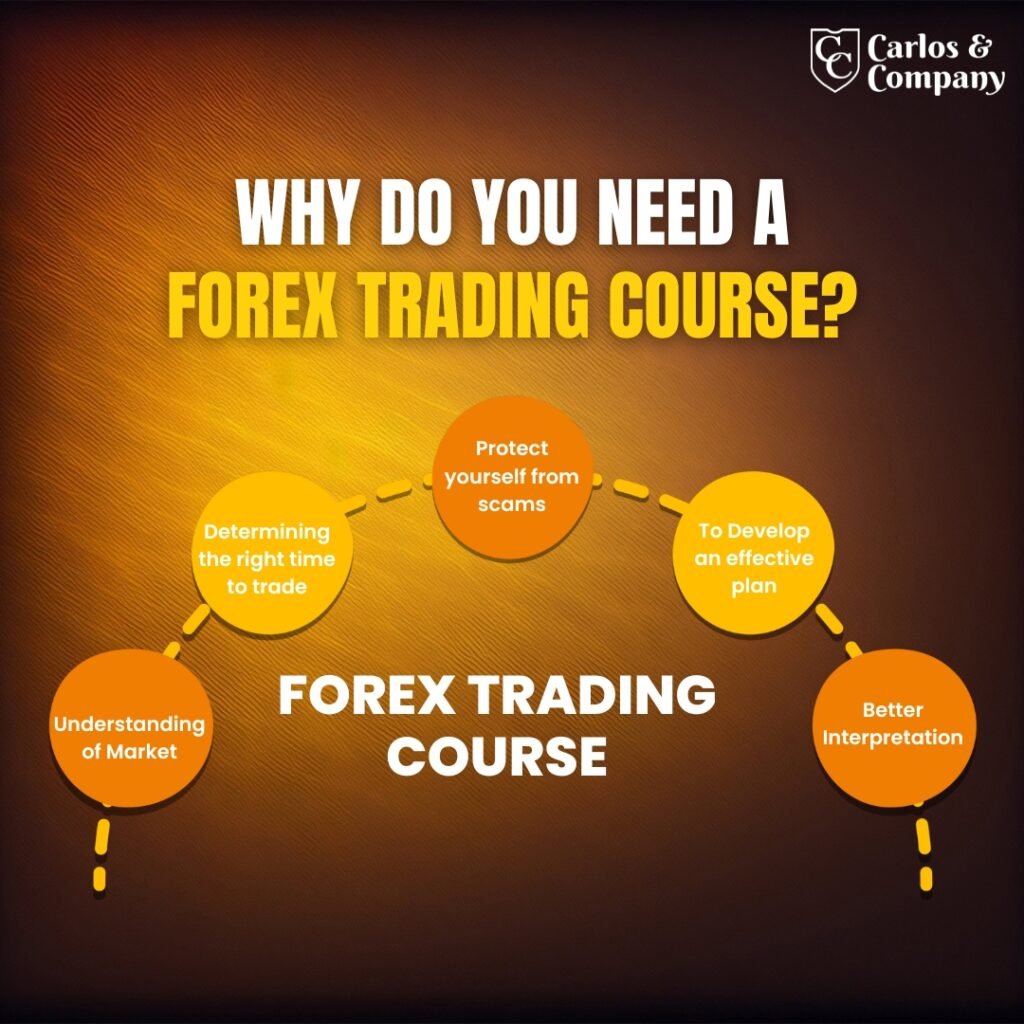 Forex-Trading-Course